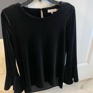 Velvet classic top for the holidays. Sleeves flair out at bottom.